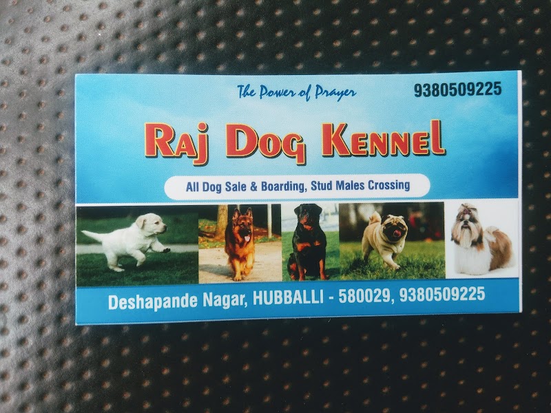 Raj kennels dog hubli — Photo 3