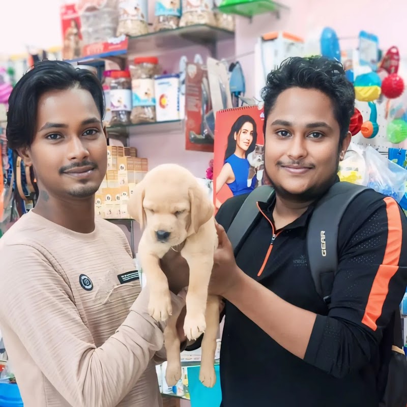 Raja Dog kennel — Photo 1