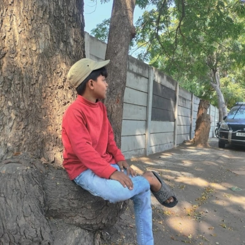 Rajkot Pet Shop — Photo 2