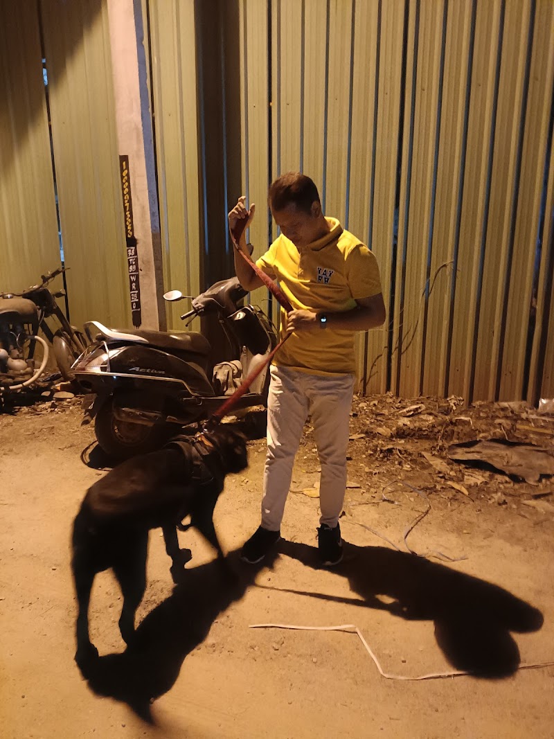 Rakesh's Professional Dog Walking and Dog Training Service