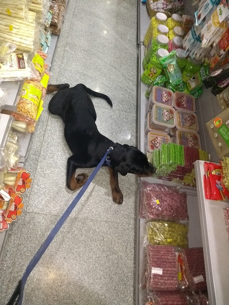 Ramal's Pet Mall — Photo 4