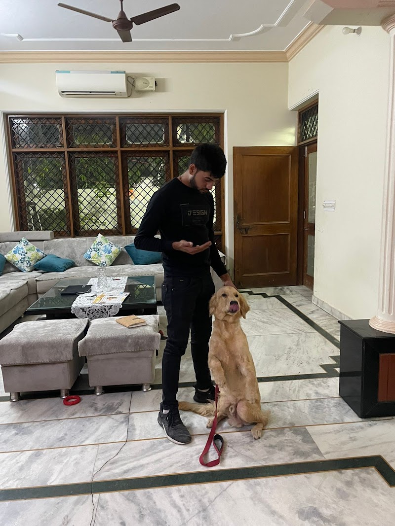 Rameshwar Sharma Dog Trainer | Best Dog Trainer in Agra | #1 Best Dog Trainer