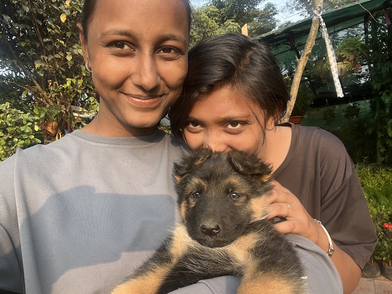 RANCHI PET SHOP & HOSTEL — Photo 4