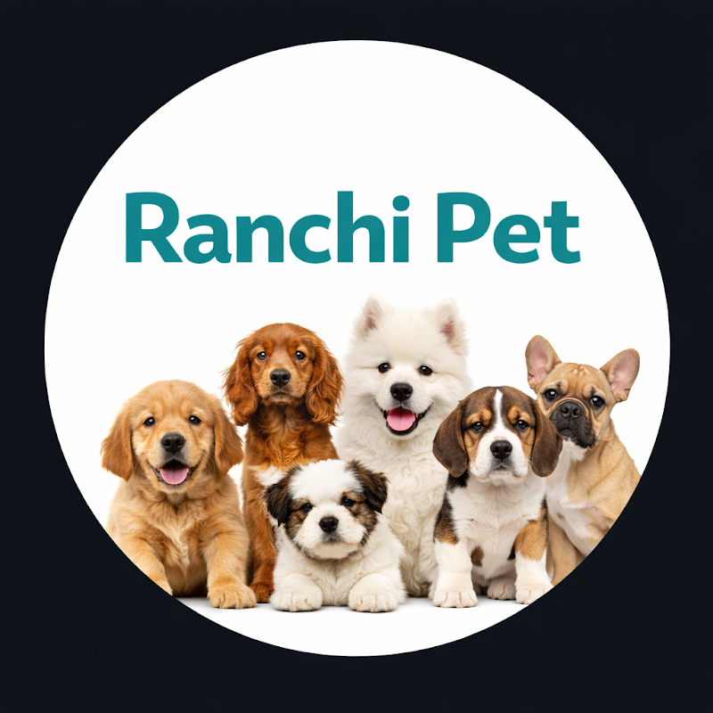 Ranchi pet shop