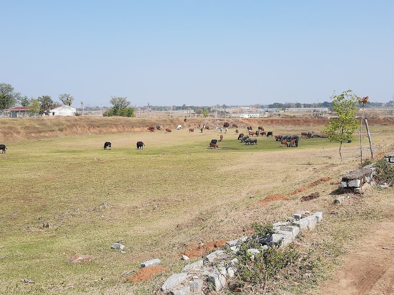 Ranchi Veterinary College — Photo 4