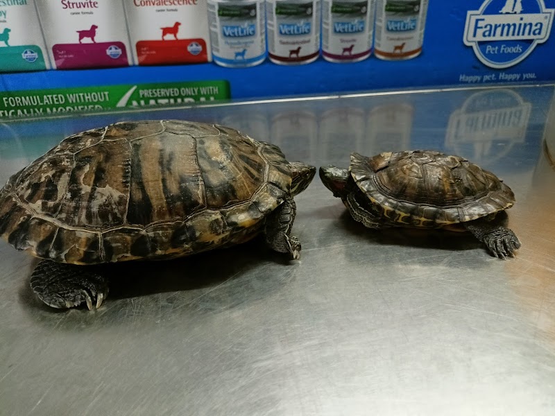 Real Care Small Animal Clinic — Photo 2