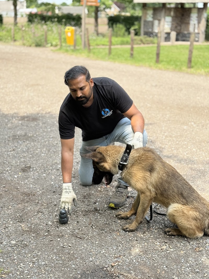 Reward K9 Dog Training Centre — Photo 2