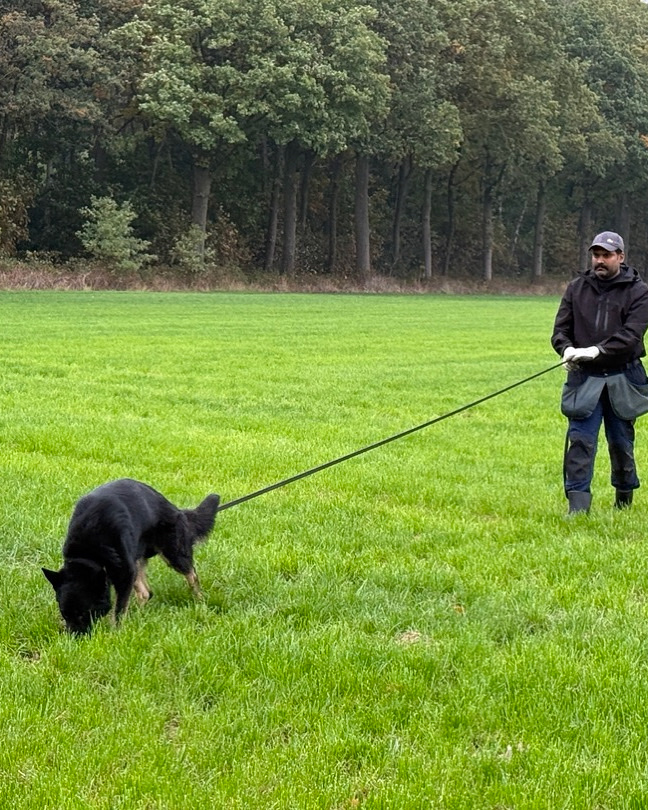 Reward K9 Dog Training Centre — Photo 4