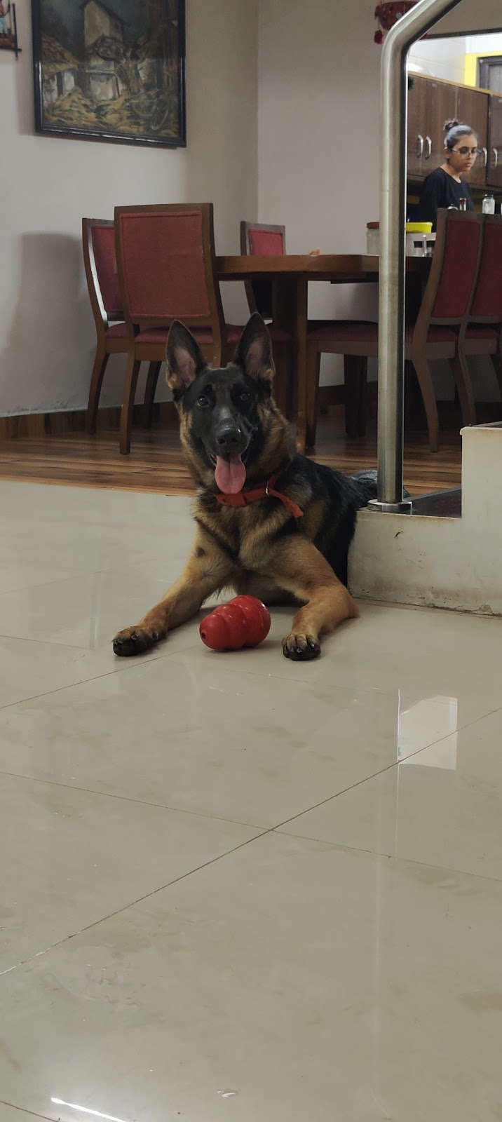 Ricky's Dog Training