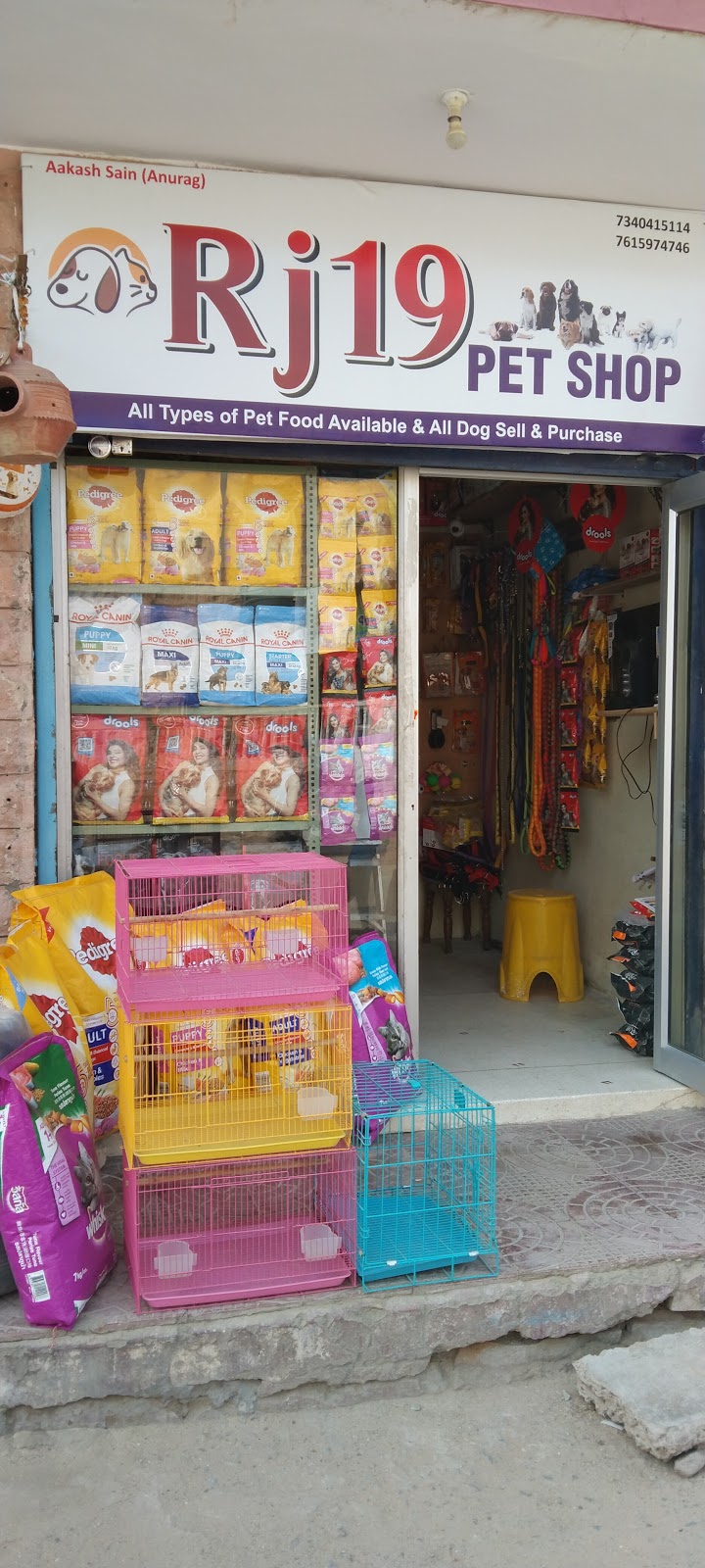 Rj 19 Pet Shop