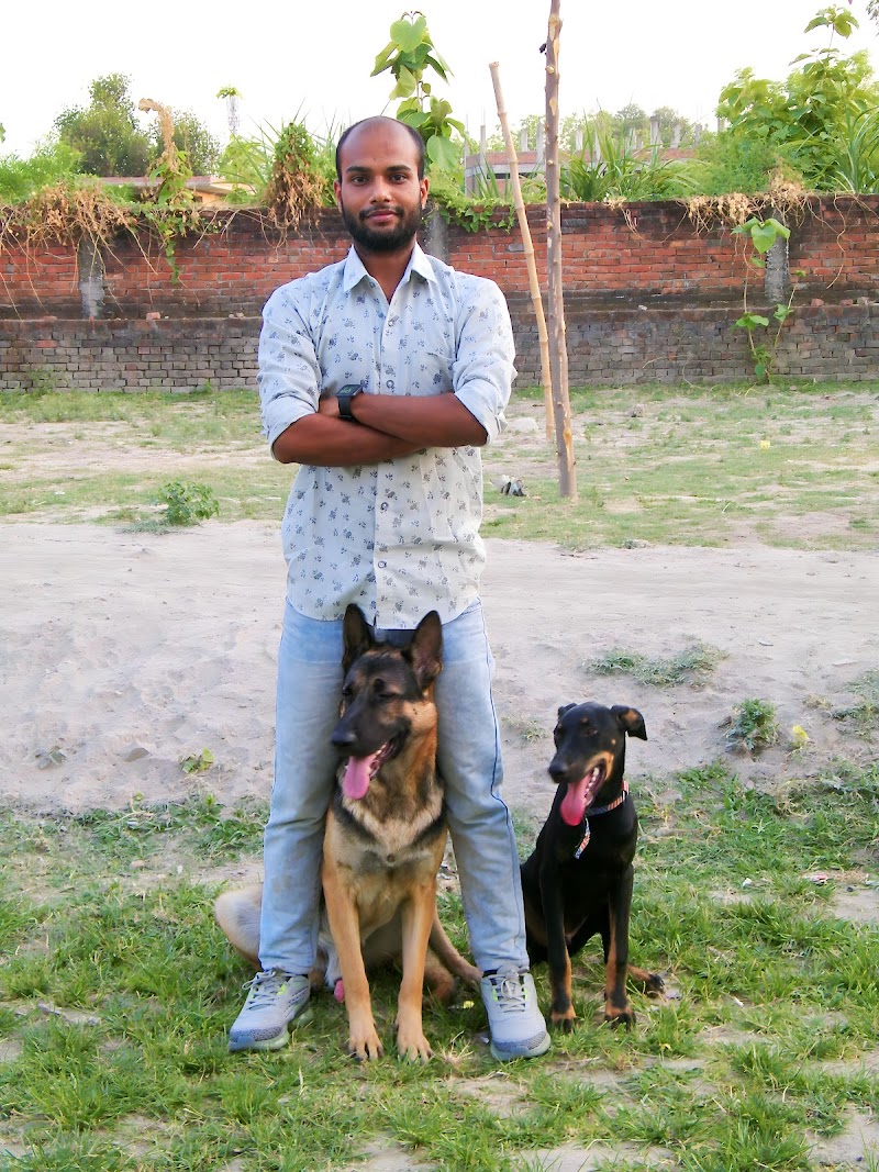 Rockyk9_Dog_Training ( By Akash Singh, Certified K9 Trainer)
