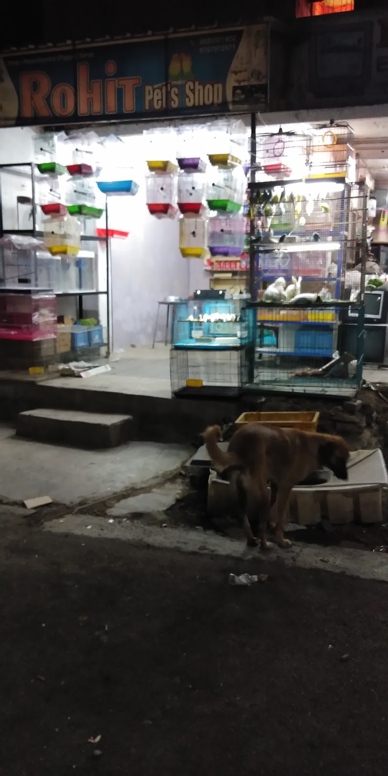 Rohit Pets Shop — Photo 2