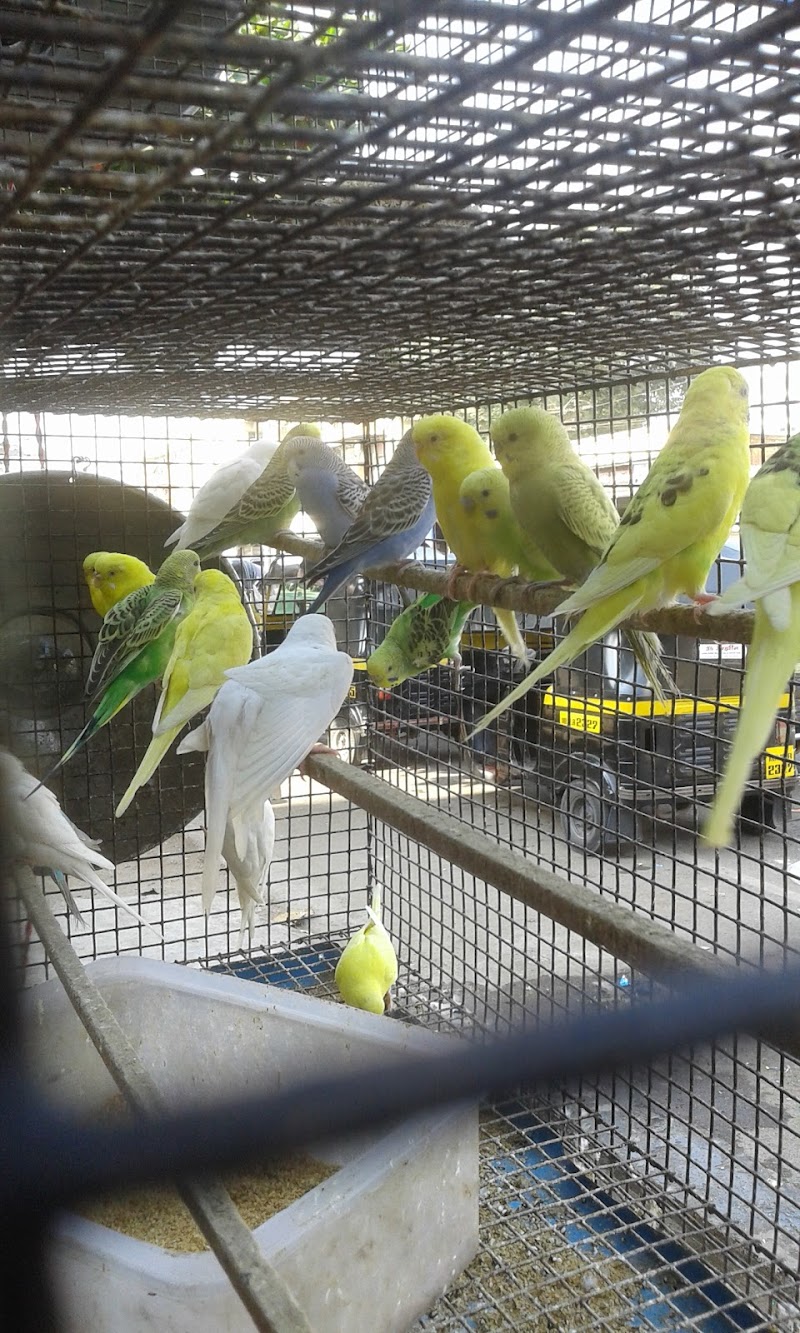 Rohit Pets Shop — Photo 3