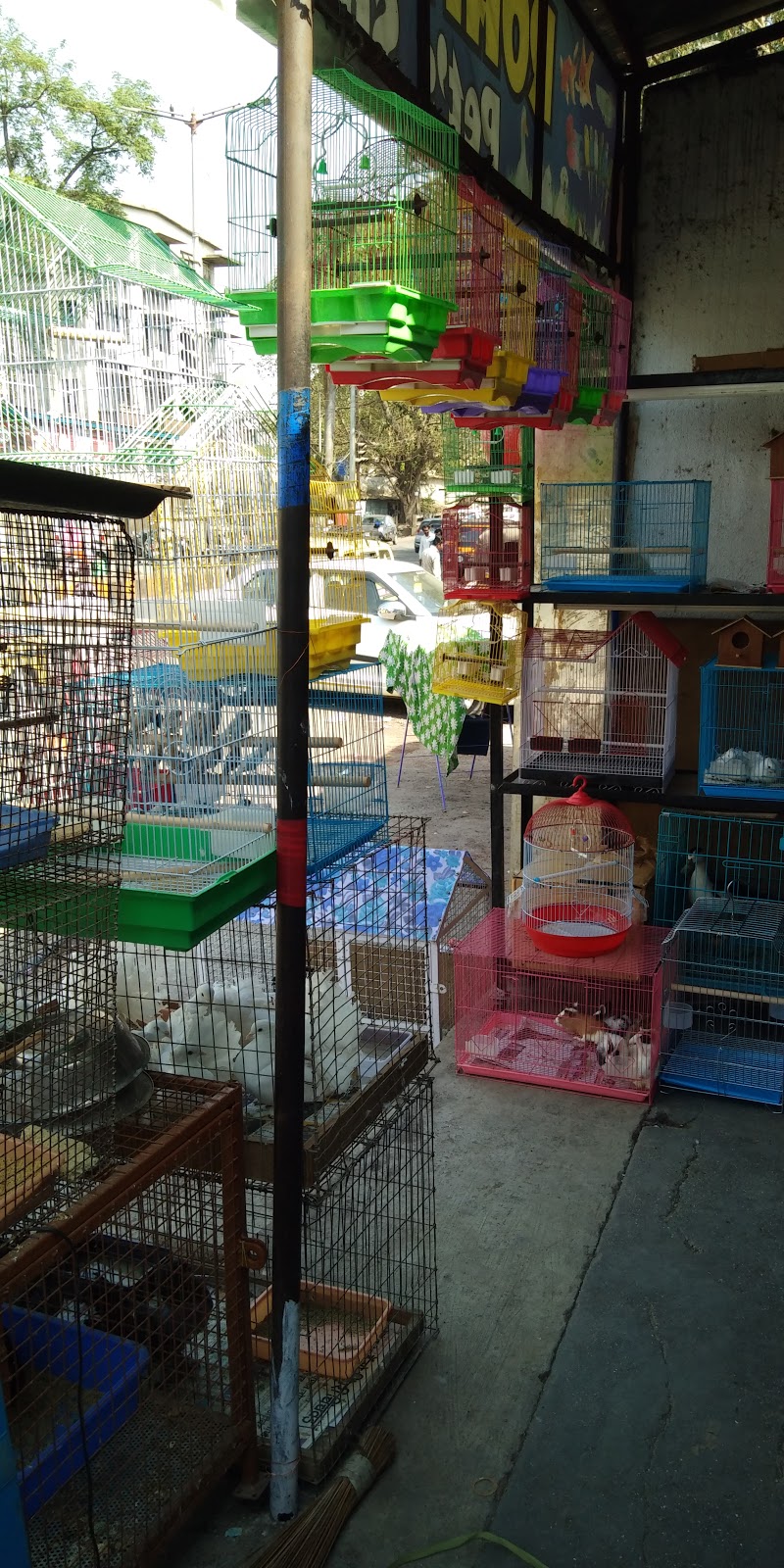 Rohit Pets Shop — Photo 4