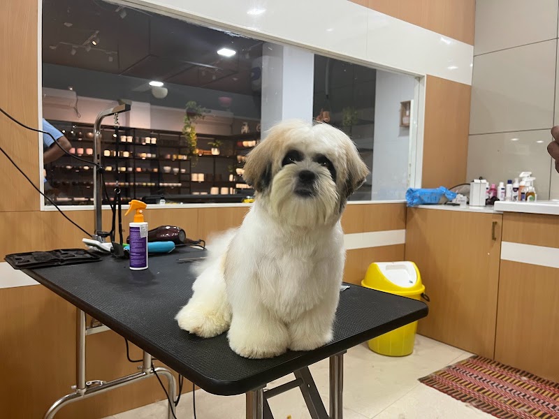 Roms N Raks Pet Hypermarket and Grooming Studio — Photo 4