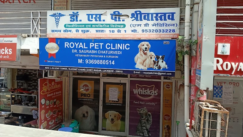 Royal Pet Clinic — Photo 3