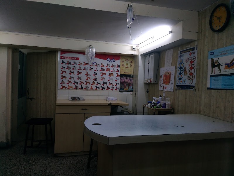 Royal Pet Clinic — Photo 3