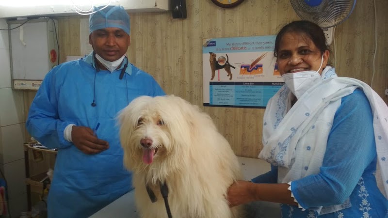 Royal Pet Clinic — Photo 4