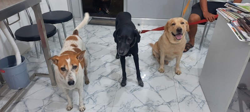 Royal Veterinary Care