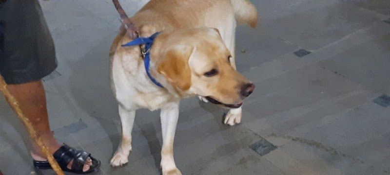 Royal Veterinary Care — Photo 3