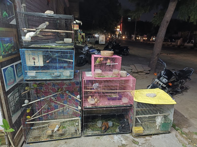 RP pandit pet shop — Photo 2