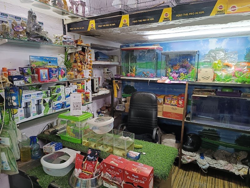 RP pandit pet shop — Photo 3