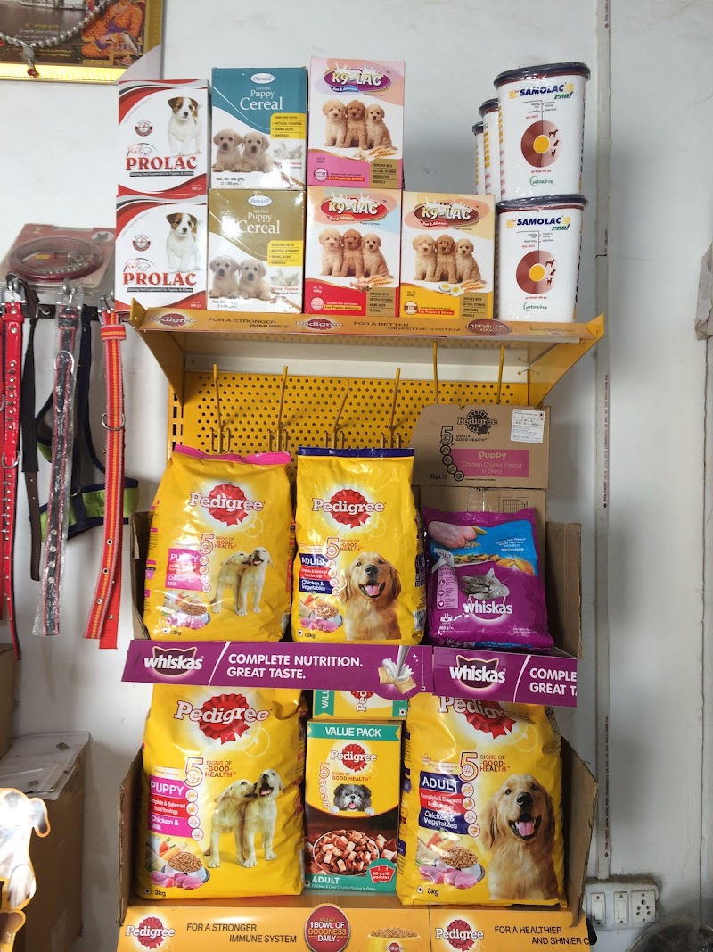 S S Pet World — Photo 4