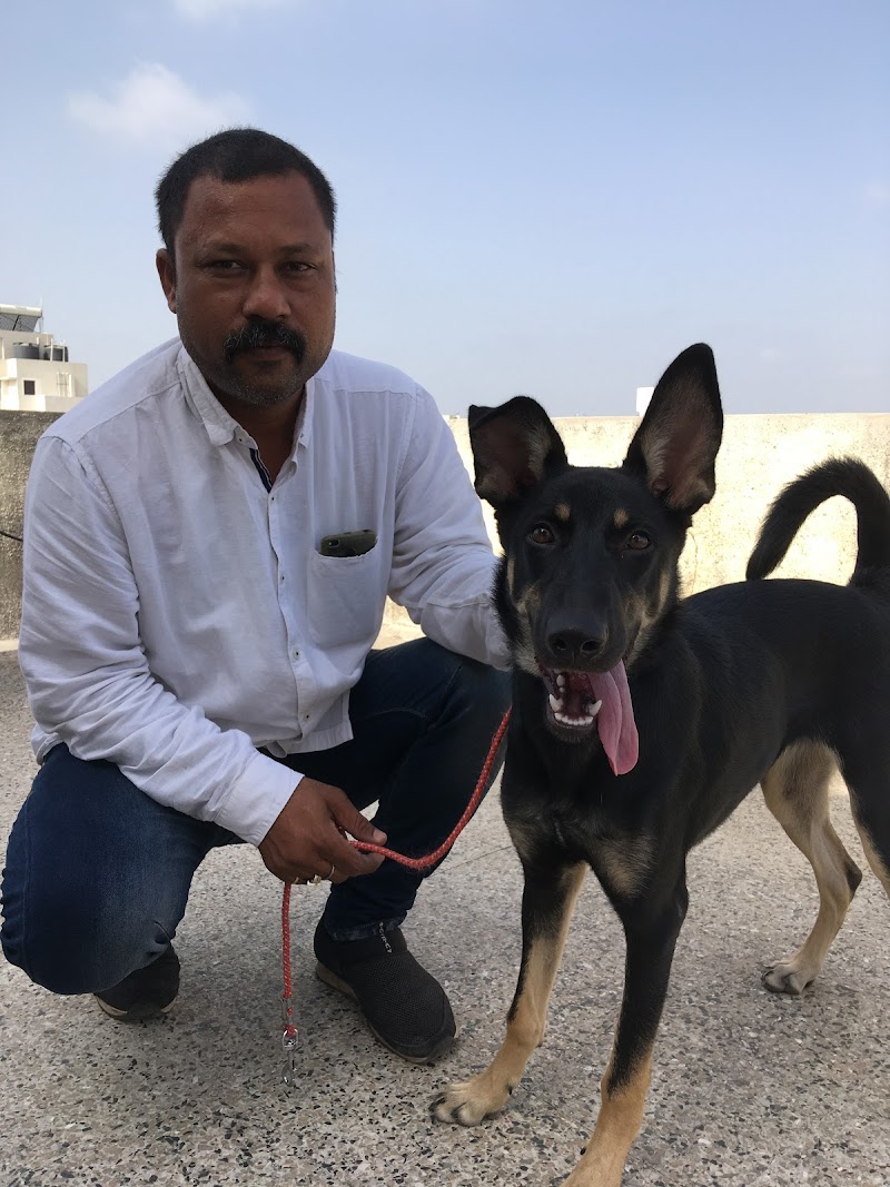 Sabrin's Canine — Photo 2