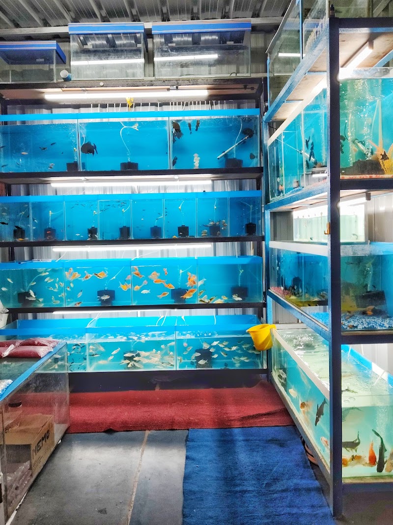 Sachin aquarium — Photo 2