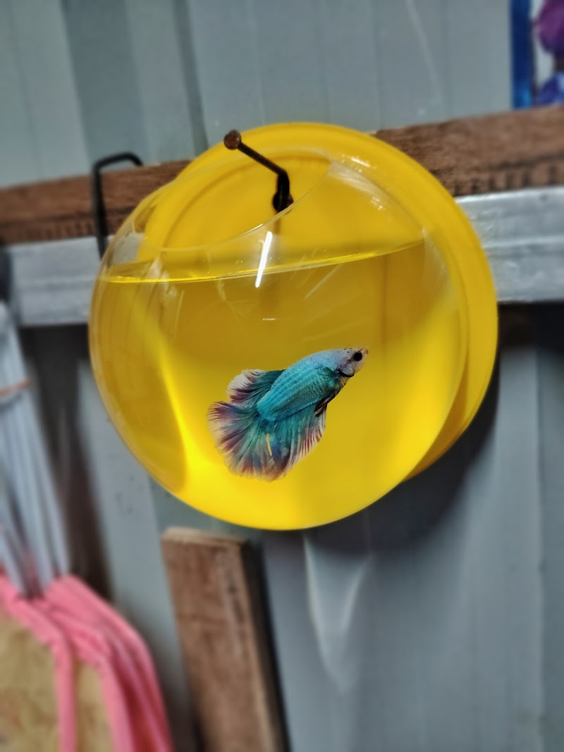 Sachin aquarium — Photo 3