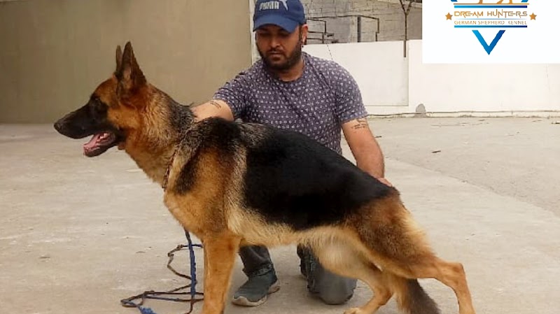 Sai aquarium and pets hub — Photo 2