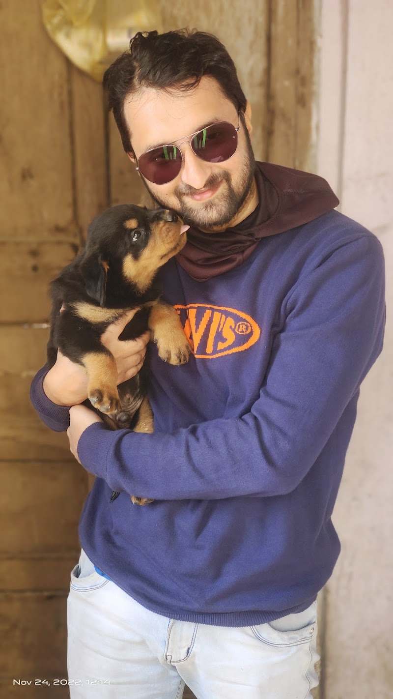 Sai Dog Kennel — Photo 2