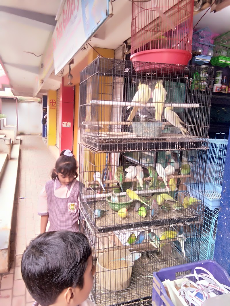 Sai Pets Gallery — Photo 2