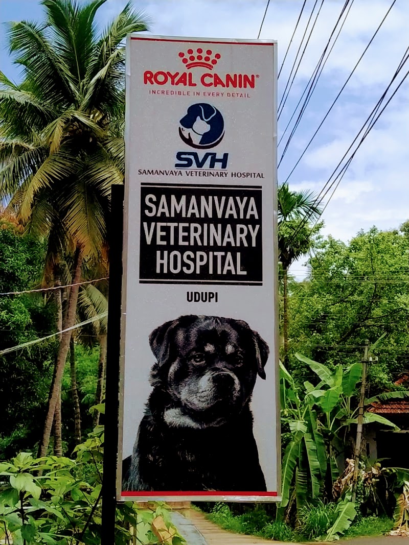 Samanvaya Veterinary Hospital — Photo 4