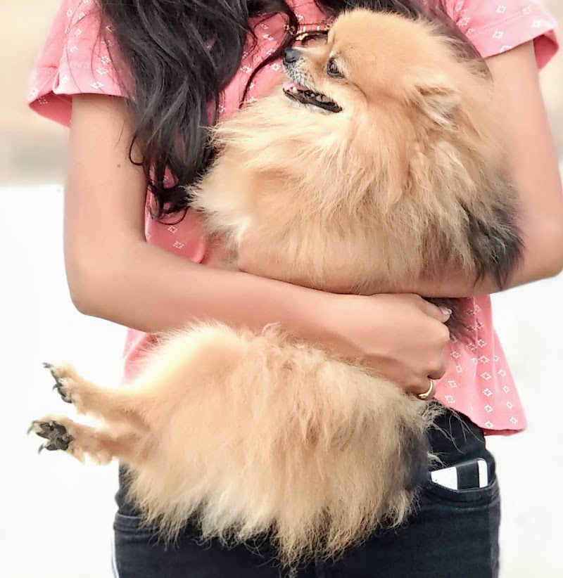 Sambhav Pet Shop — Photo 3