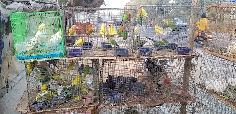 Samir Bird Shop and Dog centre