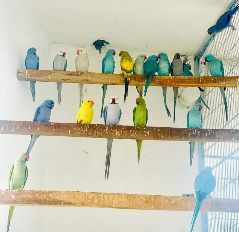 Samir Bird Shop and Dog centre — Photo 3