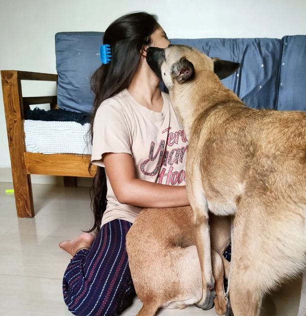 Sami's Pet Boarding — Photo 2