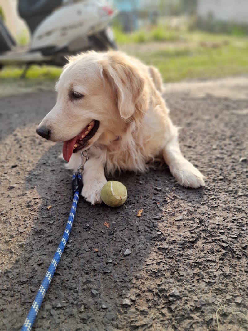 Sami's Pet Boarding — Photo 3