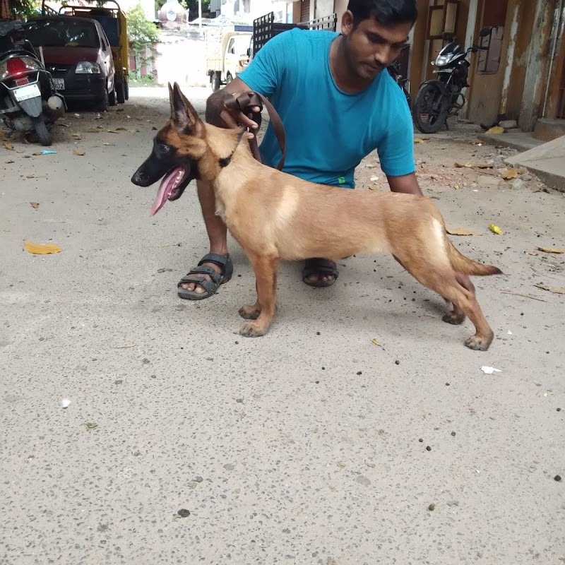 Samrakshana Dog Training Center