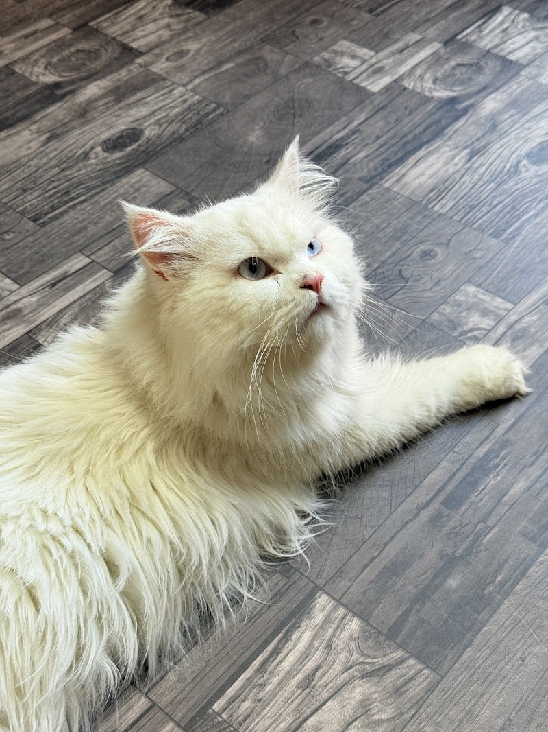 Sam's Groomzilla — Photo 2