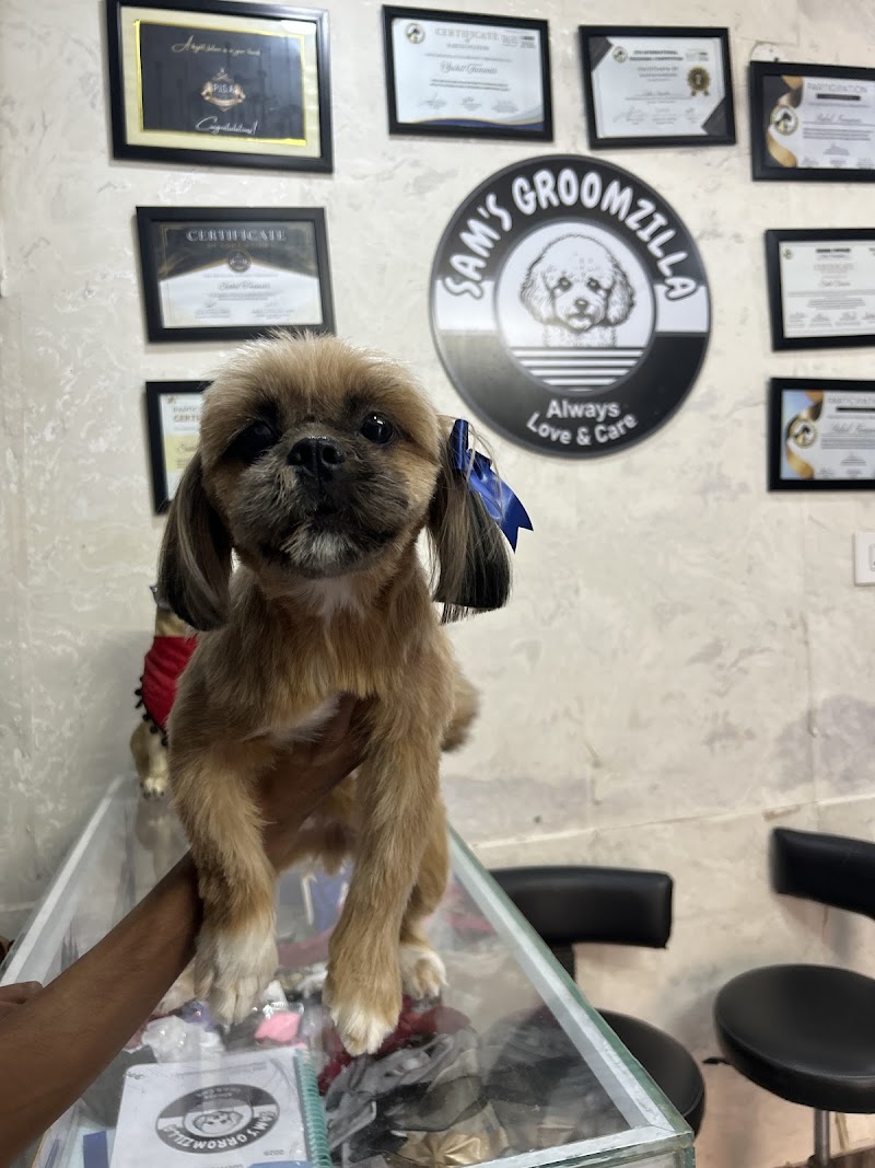 Sam's Groomzilla — Photo 3