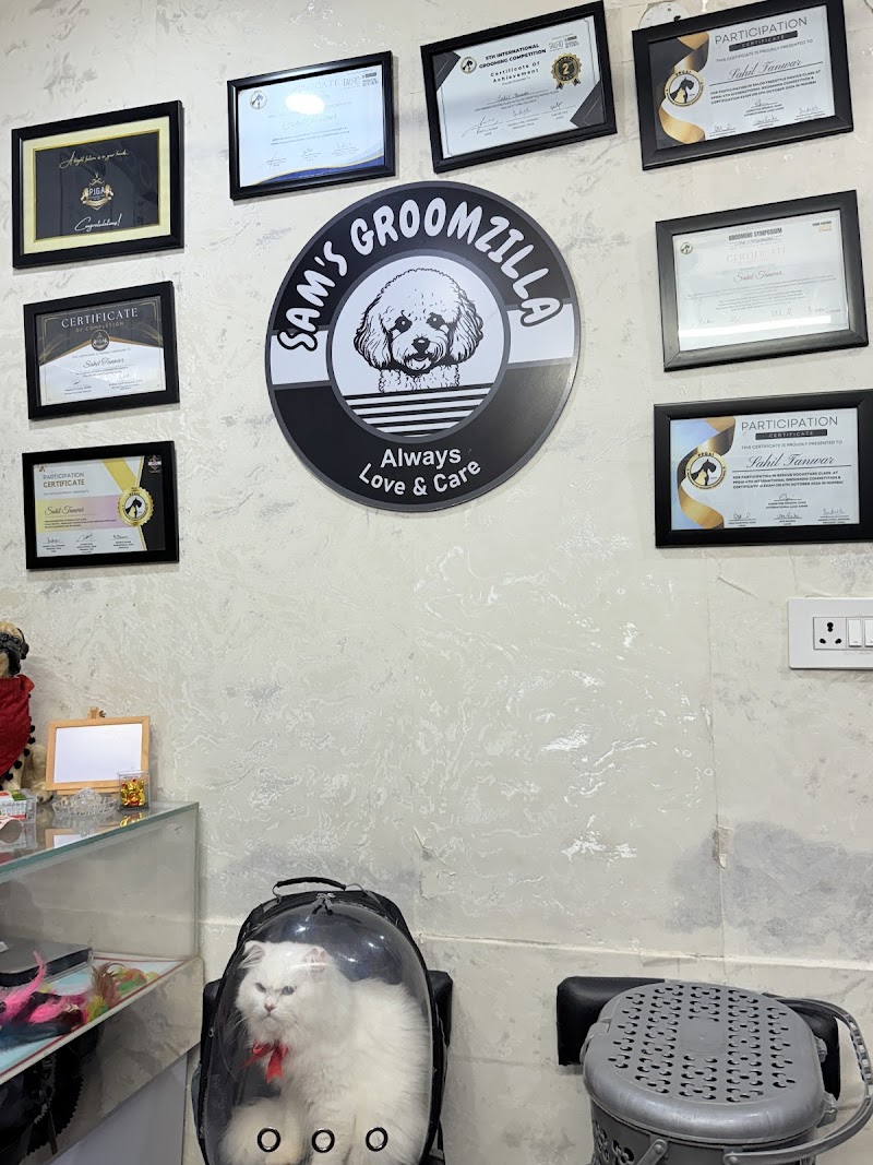 Sam's Groomzilla — Photo 4