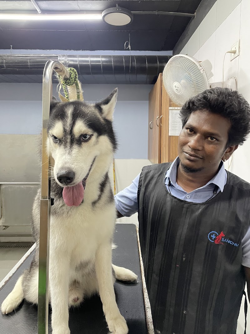 Sanchu Animal Hospital 24x7 | Anna Nagar, Chennai