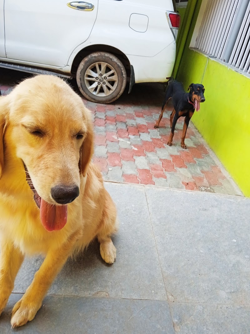 sangam dog kennal(breeders) — Photo 3