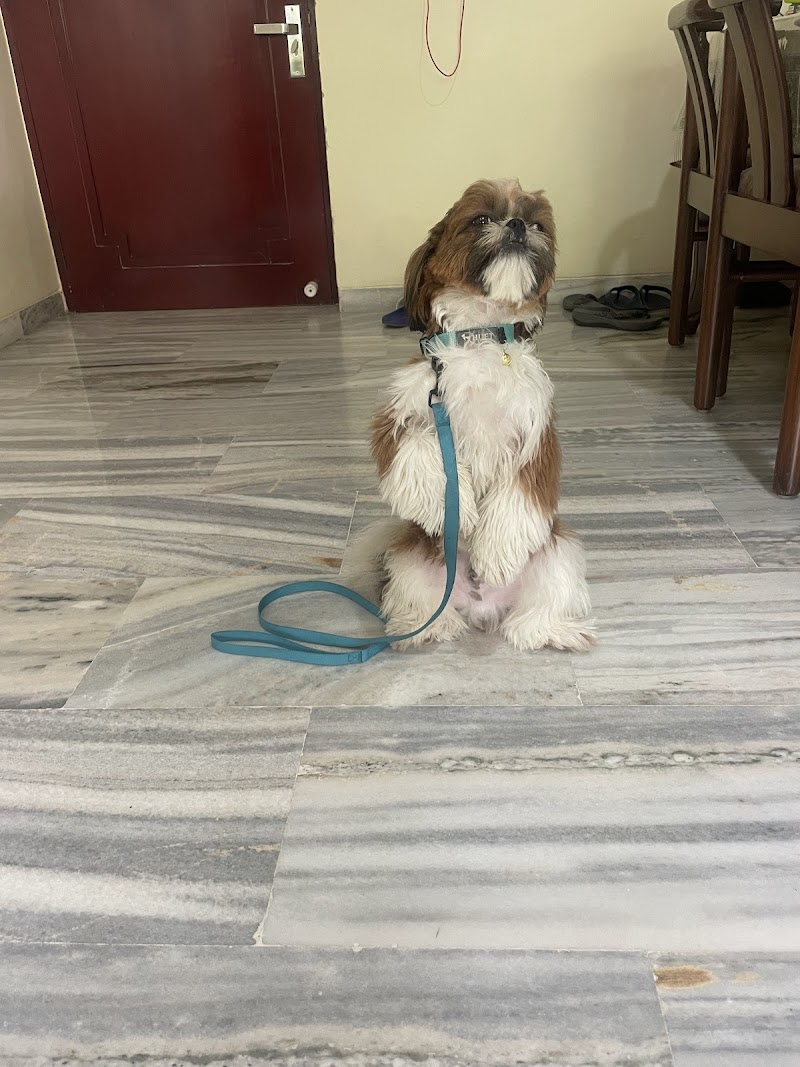 Sankhala Dog Training & Hostals — Photo 3