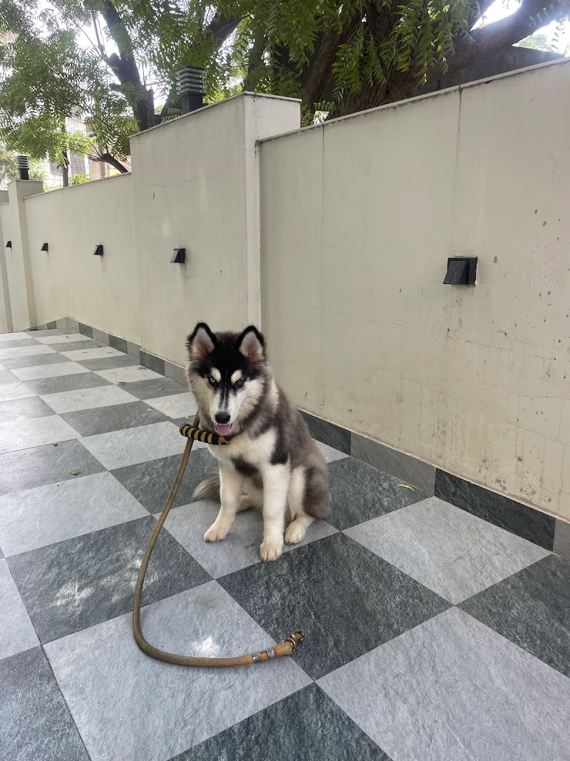 Sankhala Dog Training & Hostals — Photo 4