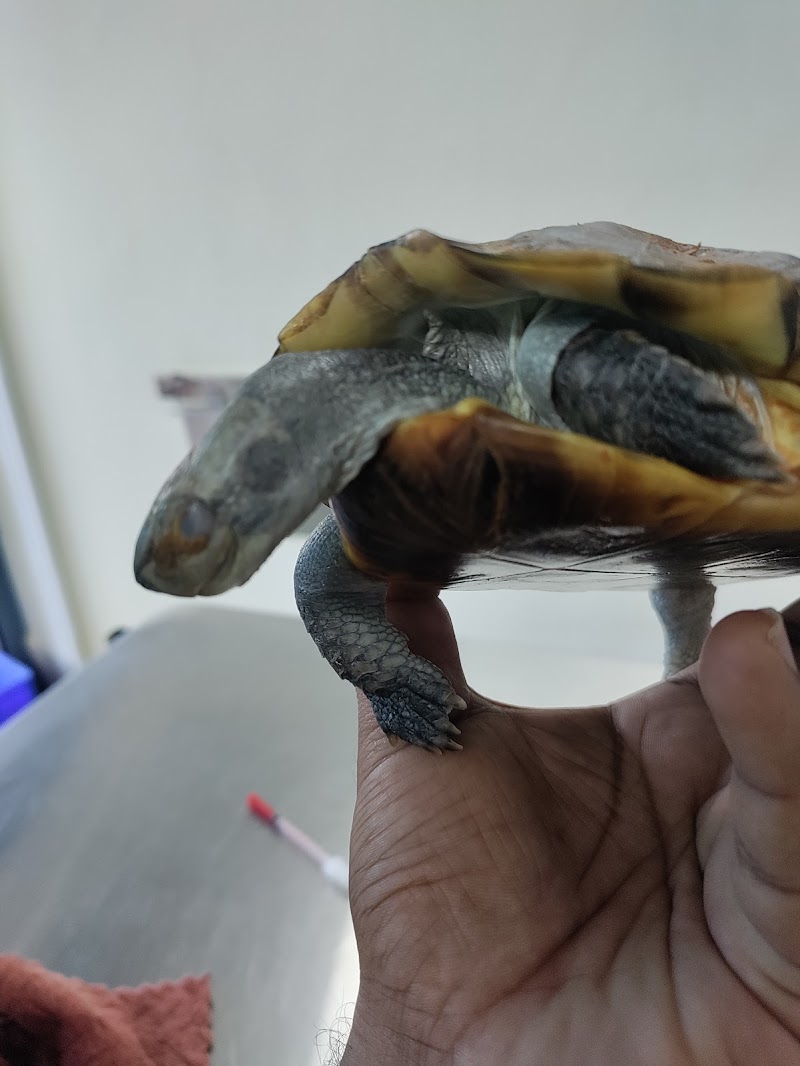 Sanmati Pet Clinic — Photo 3