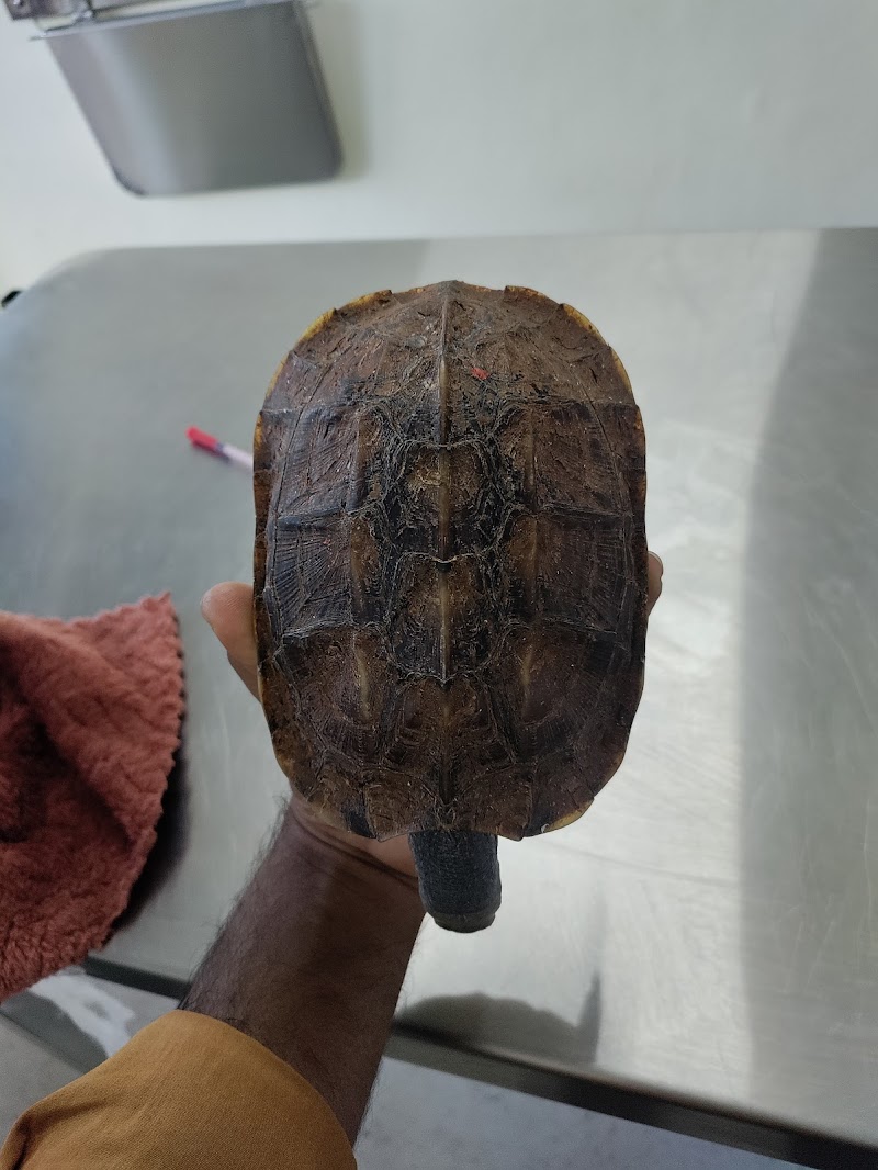 Sanmati Pet Clinic — Photo 4