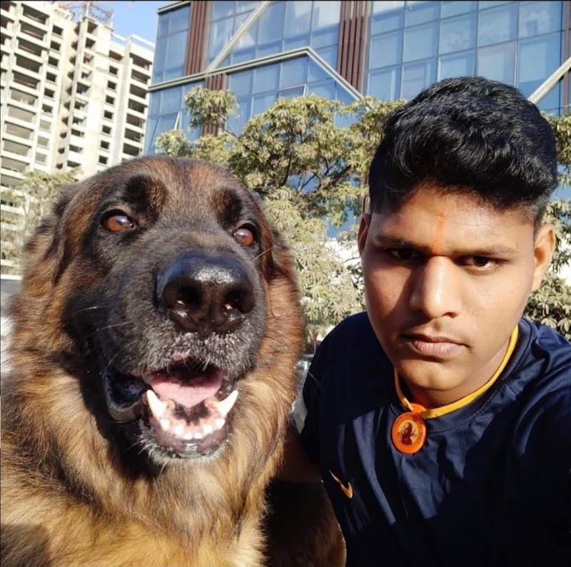Santosh pet's dog walking & bath sarvice pune 